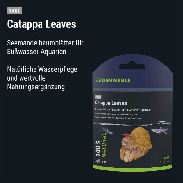 Dennerle Nano Catappa Leaves | Seemandelbaumblätter - 12 Stück