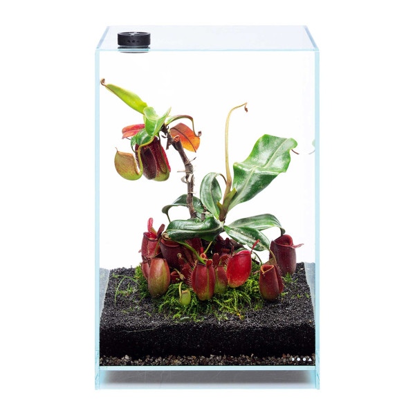 DOOA Circulation Fan | Terrarienlüfter Beispiel