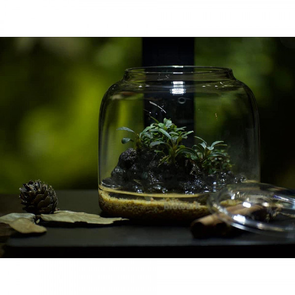 bioloark bubble cup one
