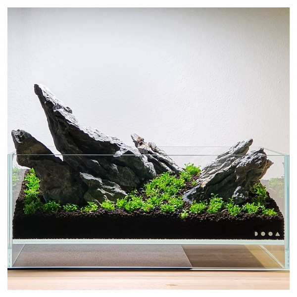 Beispielbild. Iwagumi im 30x12x8 cm DOOA Neo Glass Air, designed by scapeling - Fabian Beck