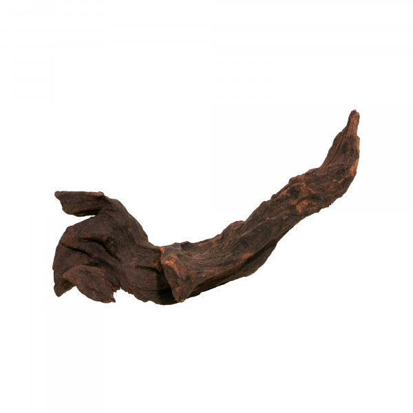 Flusswurzel, Driftwood | Einzelstück Premium 10-25cm