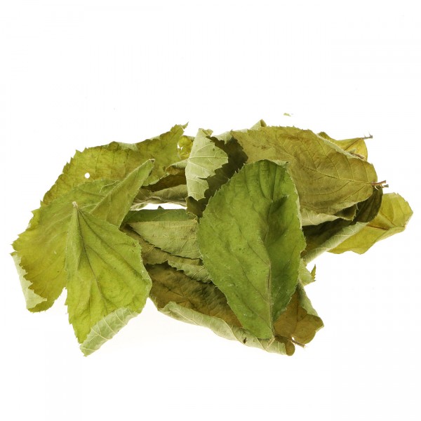 Brombeerblätter