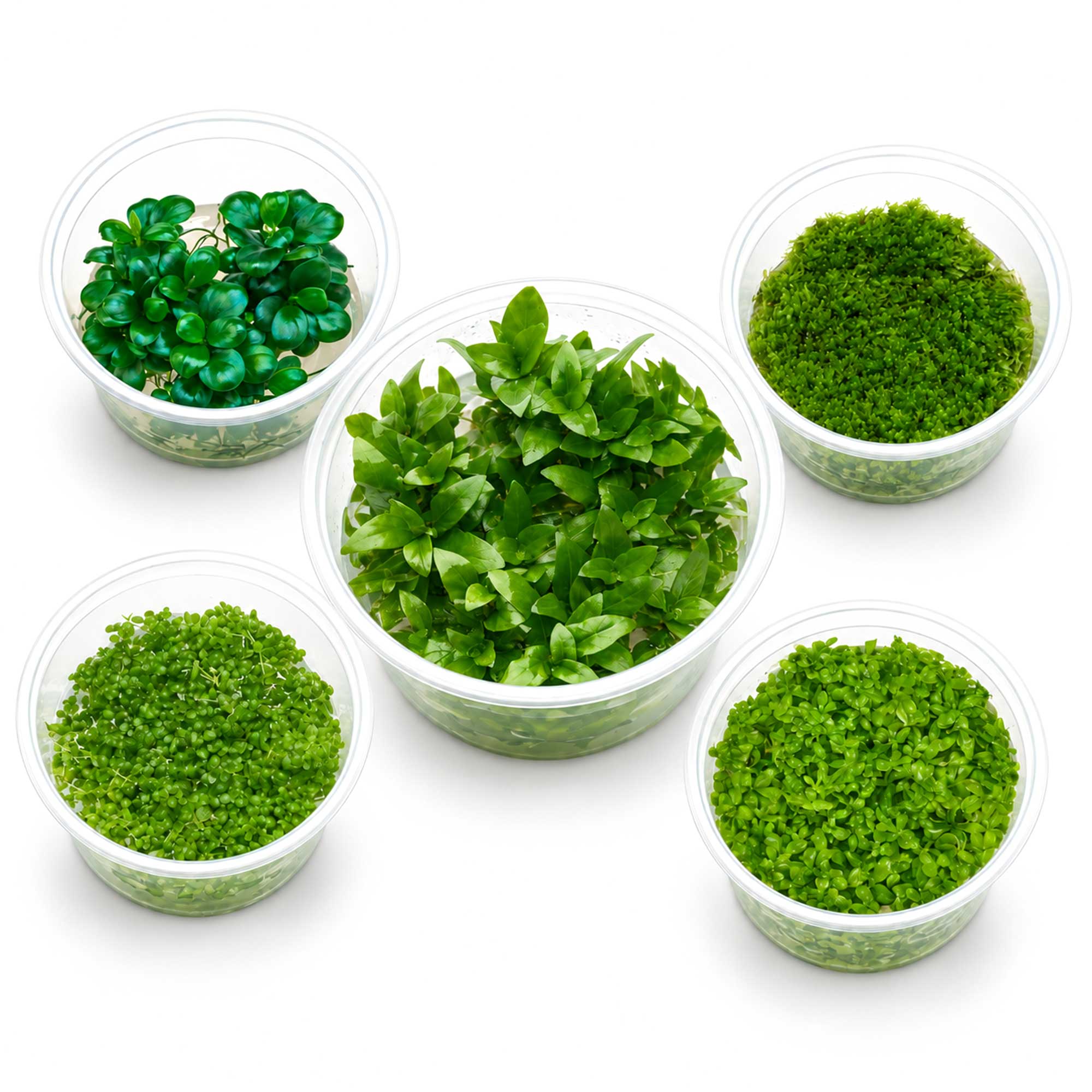 Lieferumfang des The Green Nano Cube Sets für 10 bis 30 Liter