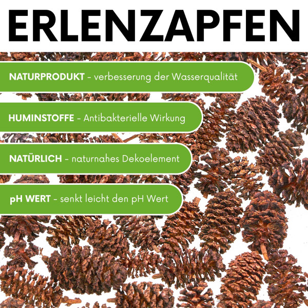 Erlenzapfen | natürliches Wasserpflegemittel für Aquarien