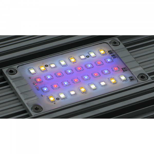 daytime matrix/pendix/onex LED Modul SLF (Sun Like Fresh)