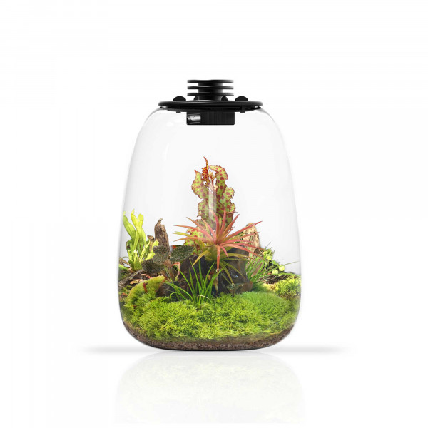 Bioloark Bio Bottle QD | Mini Terrarium