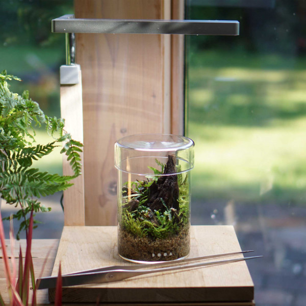 DOOA Glass Pot MARU