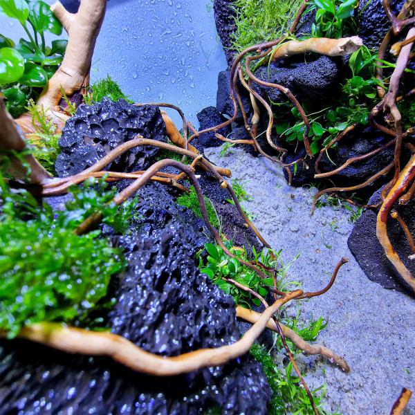 WIO decor roots twisted roots aquarium holz dekoration