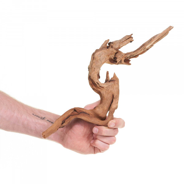 Flusswurzel, Driftwood | Einzelstück Premium 25-40cm