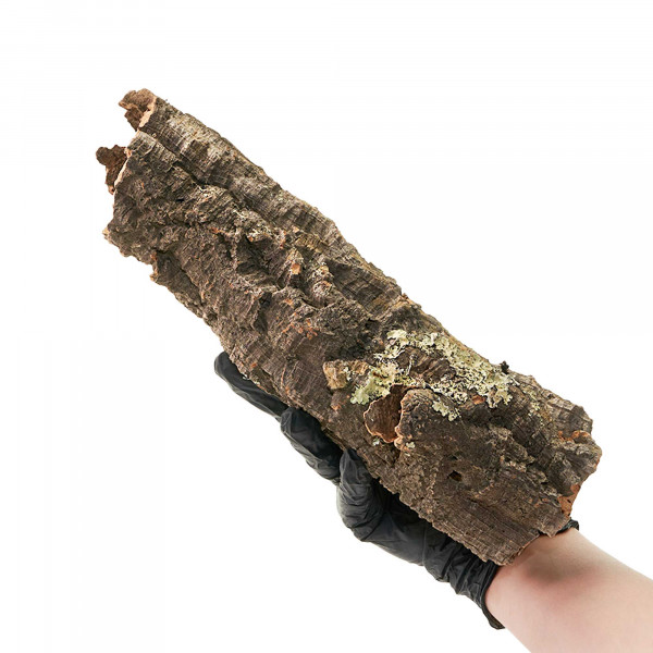 Korkröhren für Terrarium | Natürliche Verstecke und Klettermöglichkeiten Einzelstück