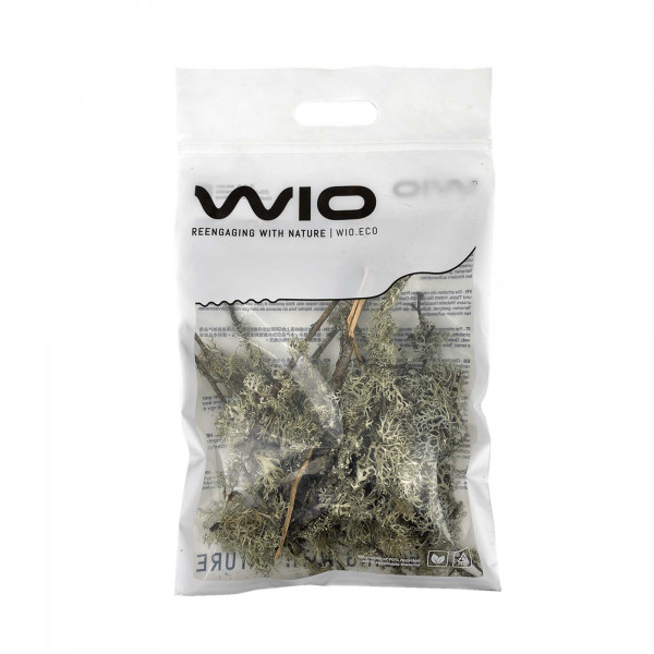 WIOdecor-Linchen | LICHEN BRANCHES - 100g - 5-30cm | Flechten