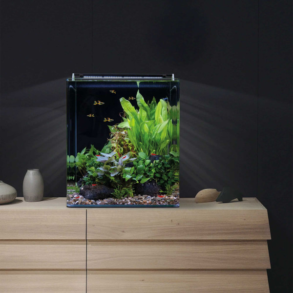 Dennerle Nano Cube Complete 20 Liter Eingerichtet