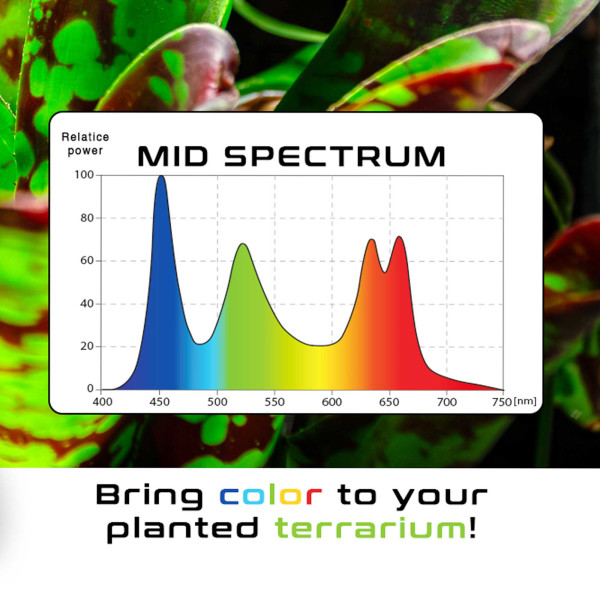 Skylight | MID 2H/2V Terrarium LED
