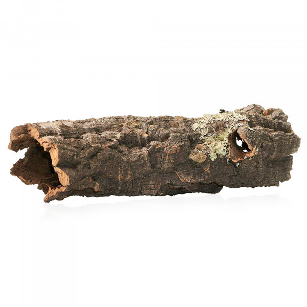 Korkröhren für Terrarium | Natürliche Verstecke und Klettermöglichkeiten Einzelstück