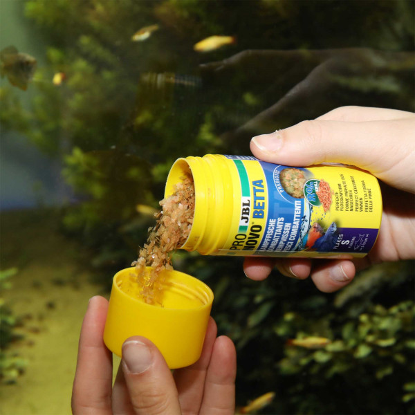 JBL ProNovo Betta Flakes | Kampffischfutter Action