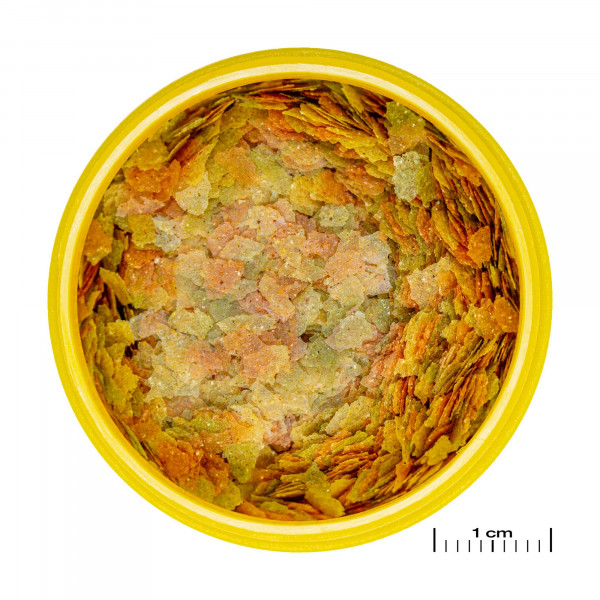 JBL ProNovo Betta Flakes | Kampffischfutter Ansicht