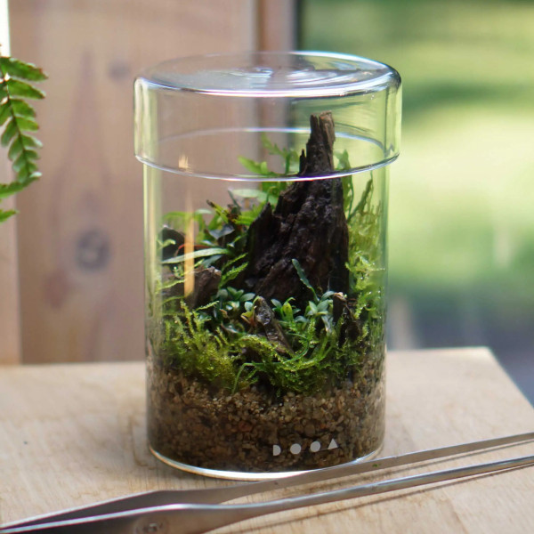 DOOA Glass Pot Maru
