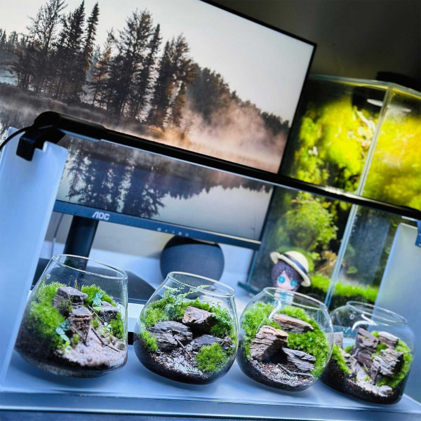 Bioloark Bubble Cup Set | inkl. LED und Display