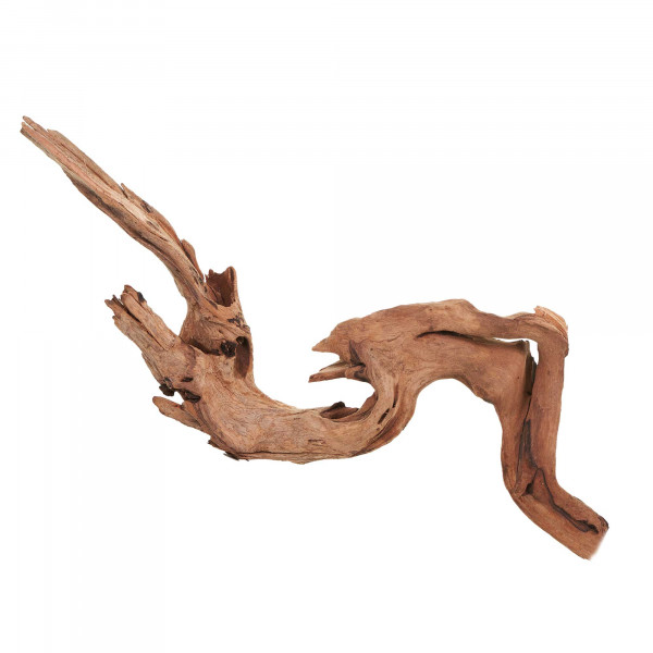 Flusswurzel, Driftwood | Einzelstück Premium 25-40cm