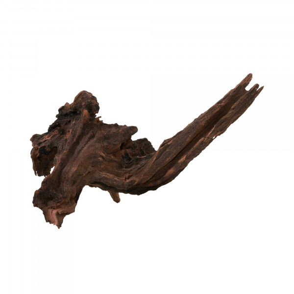 Flusswurzel, Driftwood | Einzelstück Premium 10-25cm