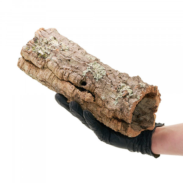 Korkröhren für Terrarium | Natürliche Verstecke und Klettermöglichkeiten Einzelstück