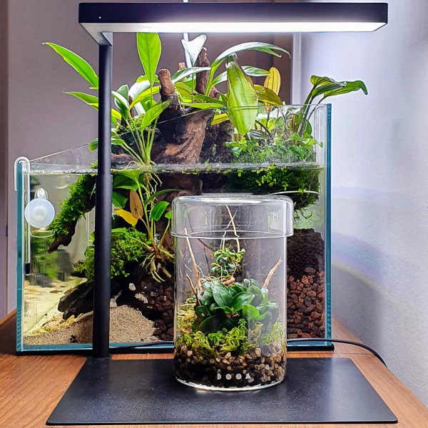 DOOA Glass Pot MARU