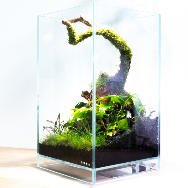 DOOA Neo Glass AIR