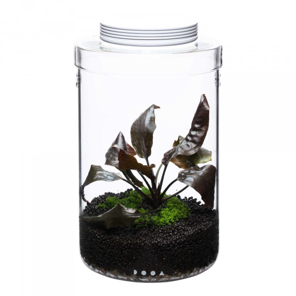 DOOA Glass Pot MARU 130