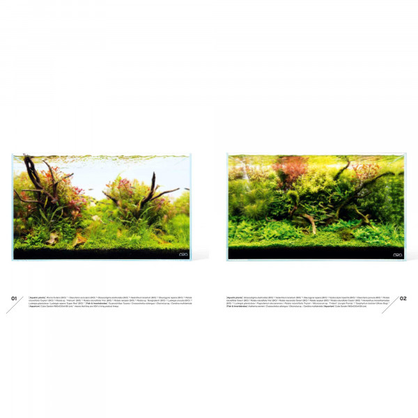 ADA Aquatic Plant Style Book Beispiel