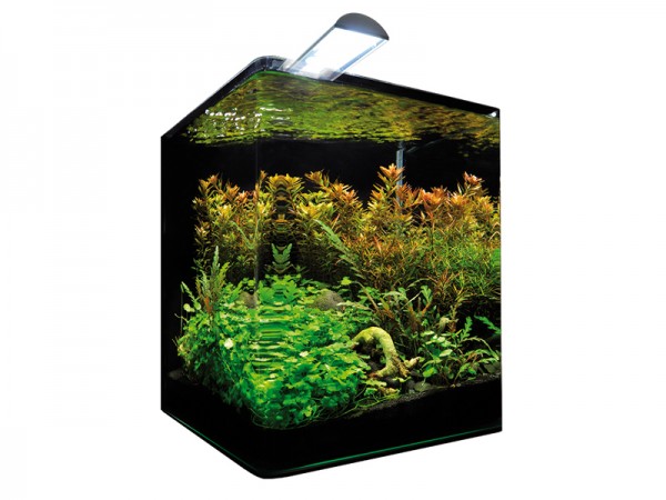 Dennerle Nano Cube 20l - B-Ware
