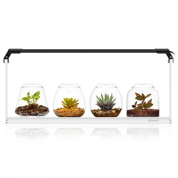 Bioloark Bubble Cup Set | inkl. LED und Display