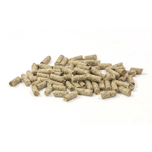 GlasGarten – Immun Sticks | Care Food