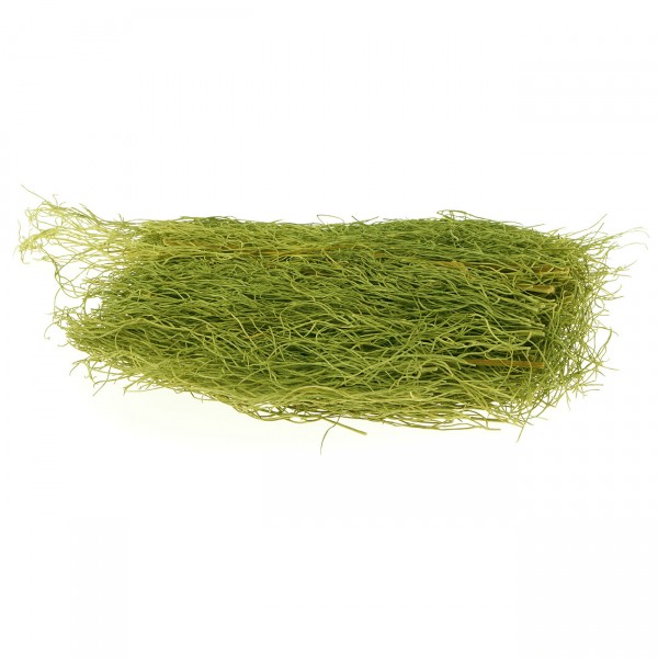 Fenchel getrocknet grün