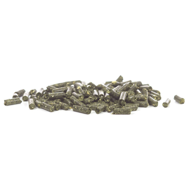 GlasGarten – Shrimp Snacks Leaves Mix