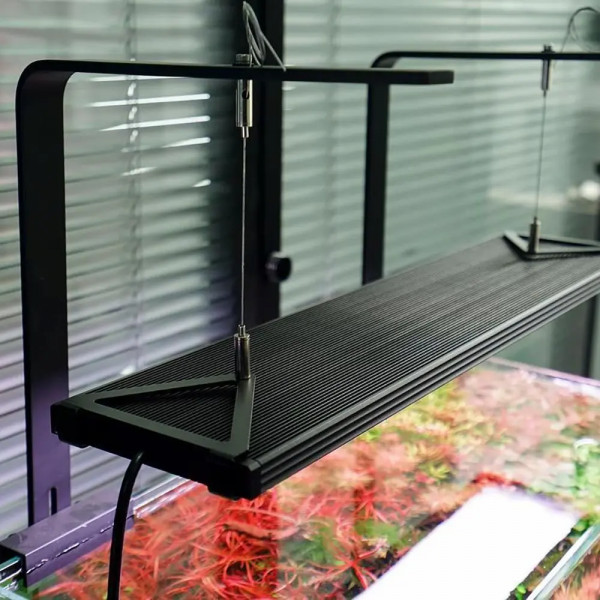 Chihiros wrgb 2 pro hängend über dem aquarium