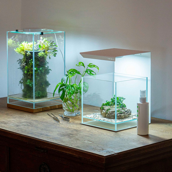 DOOA Neo Glass AIR