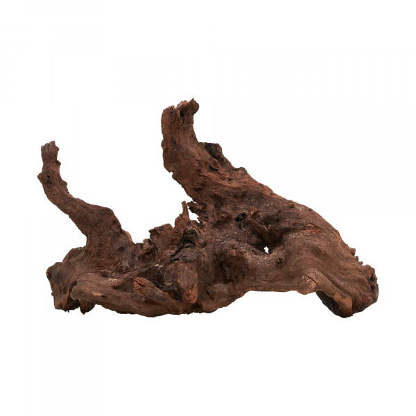 Flusswurzel, Driftwood | Einzelstück Premium 10-25cm