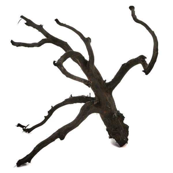 Black Wood Wurzel | Set S Einzelstück