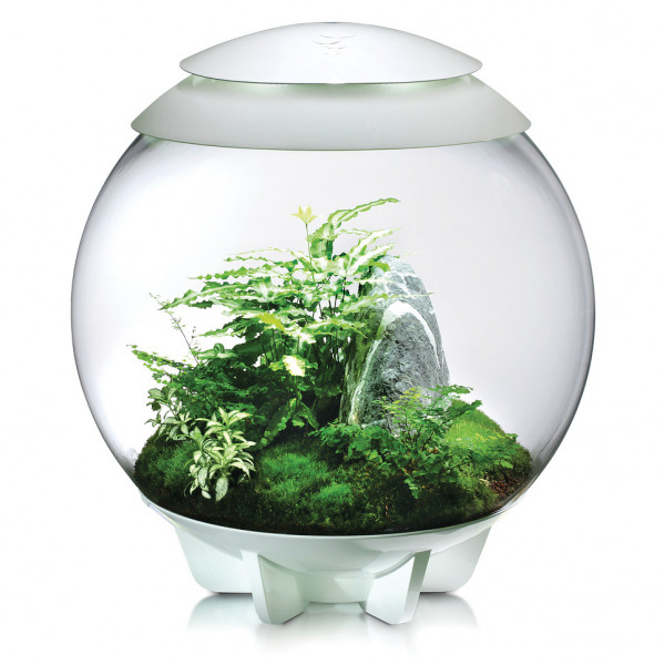 Oase biOrb AIR 60 | Automatisches Pflanzenterrarium
